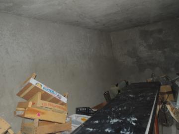 DSCN9147