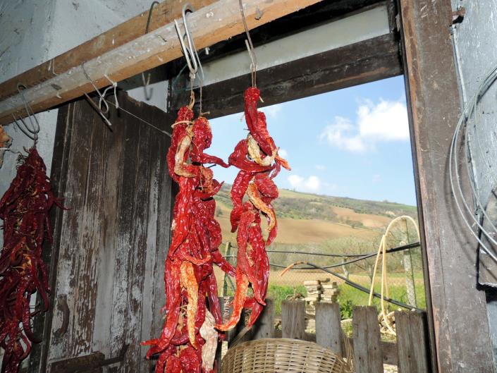 Image No.16-4 Bed Country House for sale