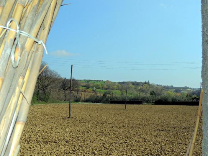 Image No.6-4 Bed Country House for sale