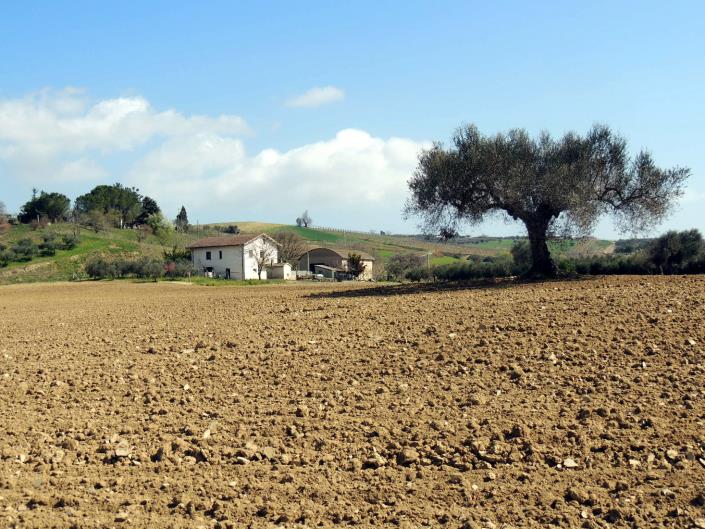 Image No.2-4 Bed Country House for sale