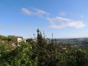 DSCN5786