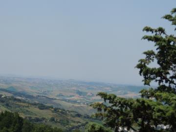 DSCN7740