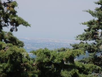 DSCN7741