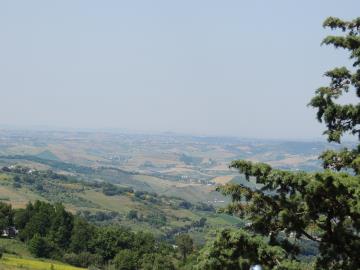 DSCN7742