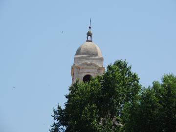 DSCN7743