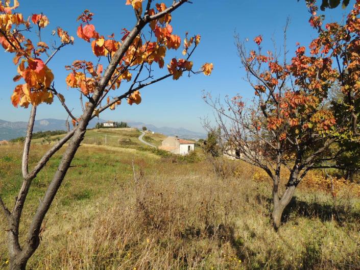 Image No.14-3 Bed Cottage for sale