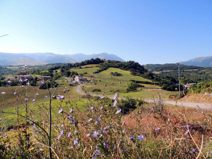 Image No.35-3 Bed Cottage for sale