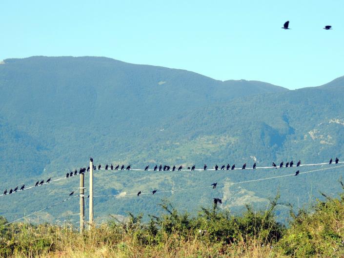 Image No.36-3 Bed Cottage for sale