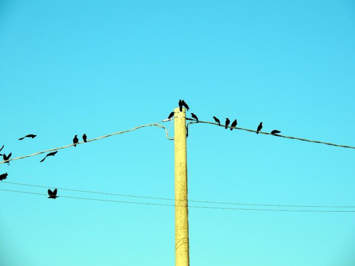 Image No.37-3 Bed Cottage for sale