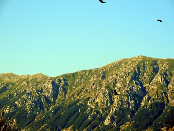 Image No.38-3 Bed Cottage for sale