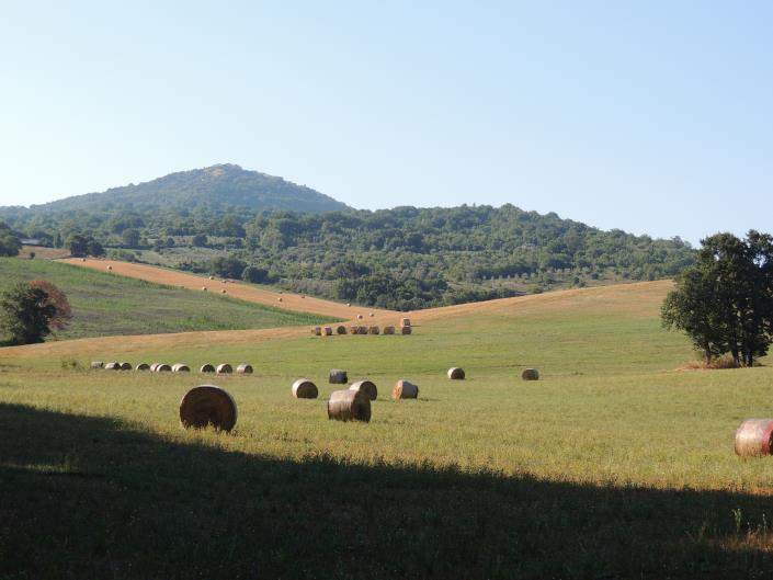 Image No.11-7 Bed Villa / Detached for sale