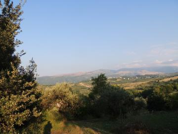 DSCN9894