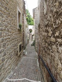 DSCN0019