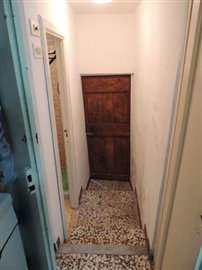 DSCN9923
