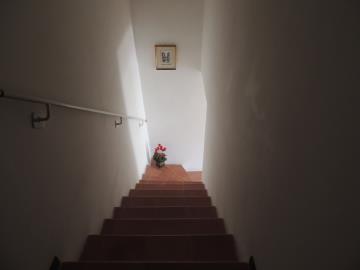 DSCN9838