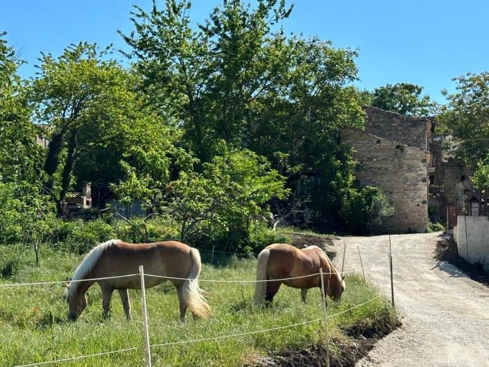 Image No.5-1 Bed Villa / Detached for sale