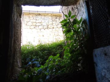 DSCN1939