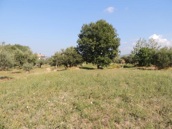 Image No.4-Land for sale