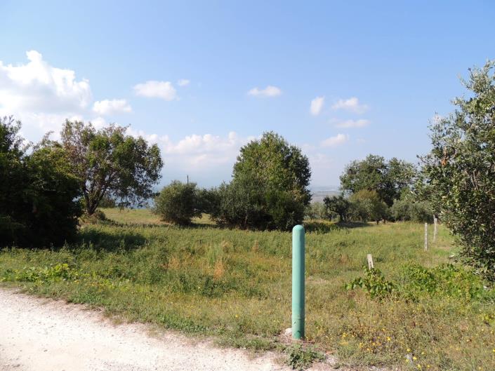 Image No.7-Land for sale