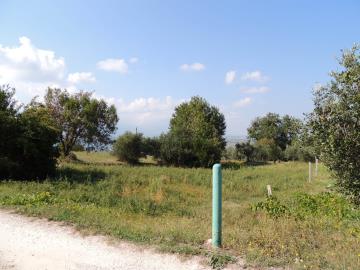 DSCN0821