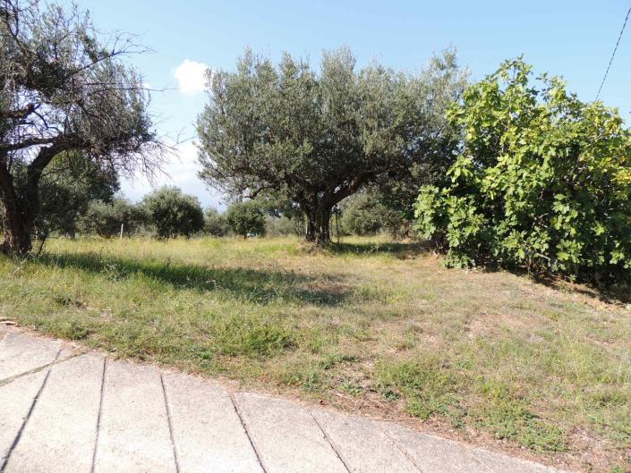 Image No.9-Land for sale