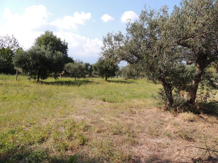 Image No.11-Land for sale