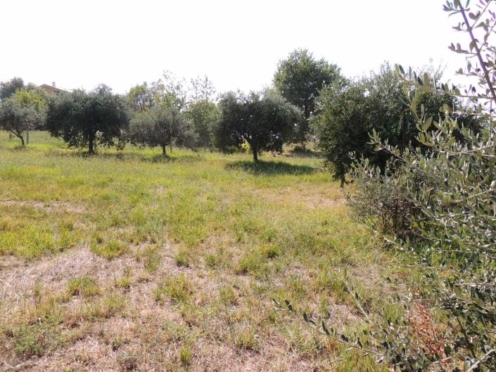 Image No.12-Land for sale