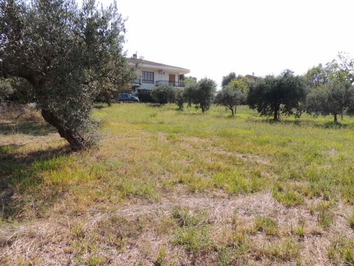 Image No.1-Land for sale