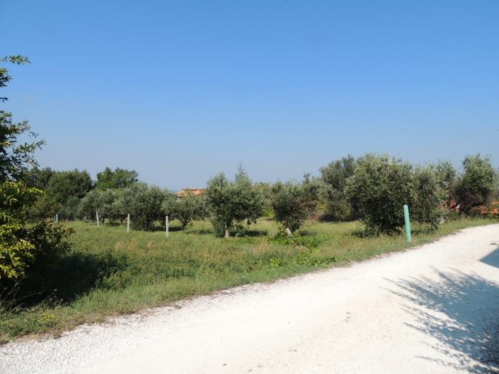 Image No.6-Land for sale