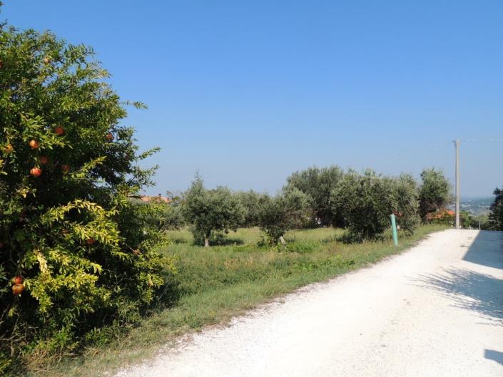 Image No.5-Land for sale