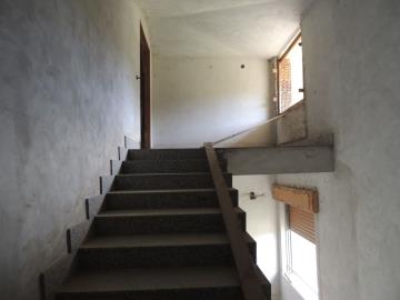 DSCN2268