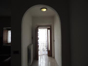 DSCN3218