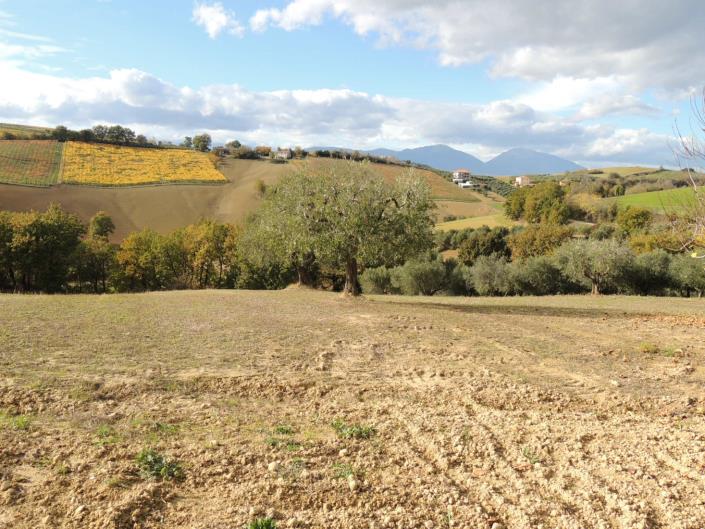 Image No.6-5 Bed Property for sale