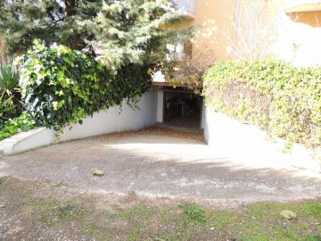 DSCN2151