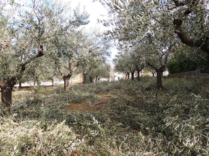 Image No.7-5 Bed Property for sale