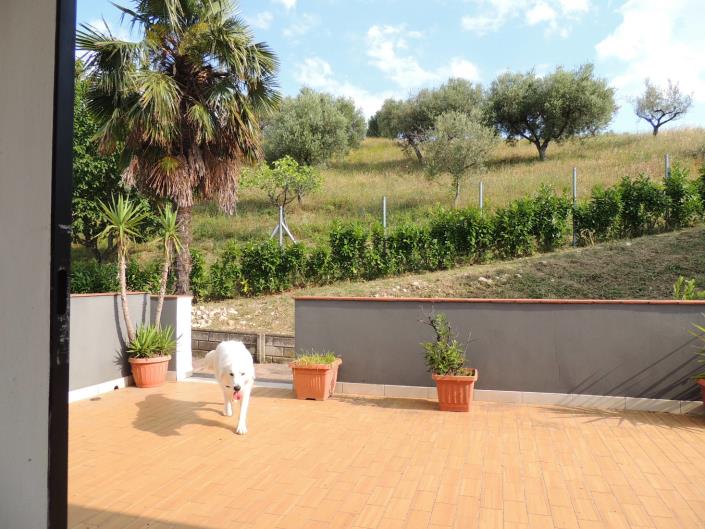 Image No.3-2 Bed Country House for sale