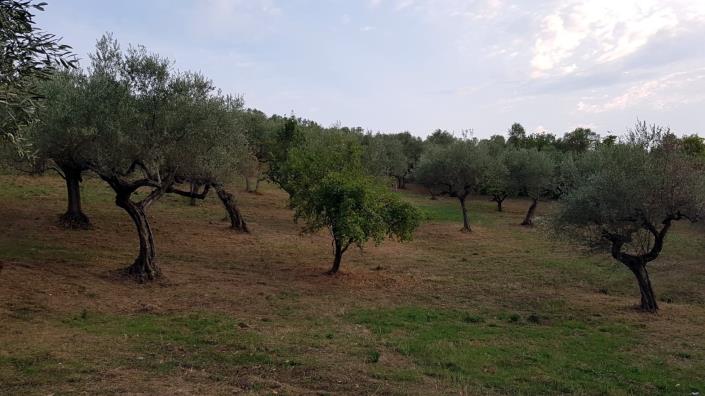 Image No.25-2 Bed Country House for sale