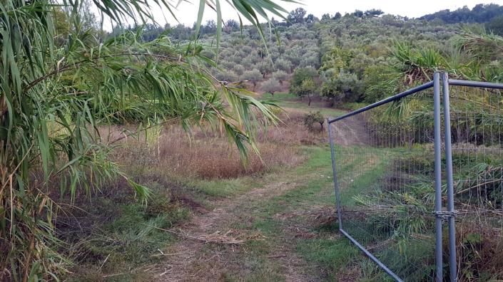 Image No.26-2 Bed Country House for sale