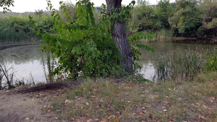 Image No.27-2 Bed Country House for sale