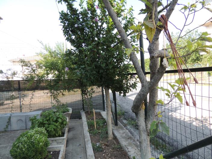 Image No.29-Villa / Détaché de 4 chambres à vendre à Caramanico Terme