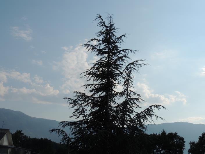 Image No.45-Villa / Détaché de 4 chambres à vendre à Caramanico Terme