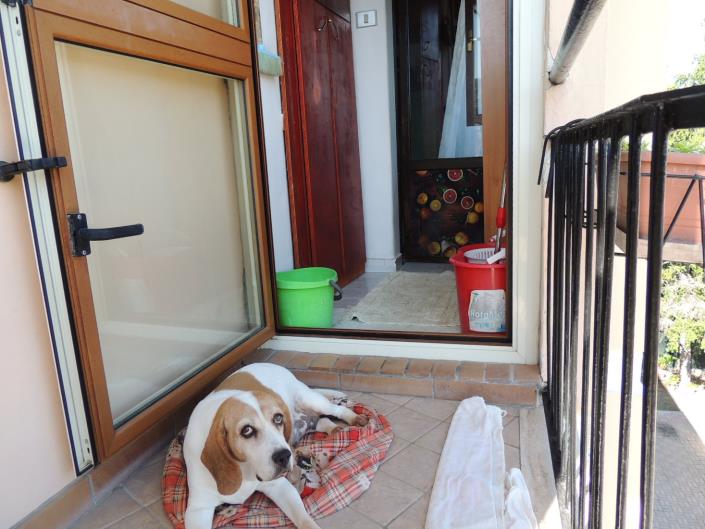 Image No.26-2 Bed Apartment for sale