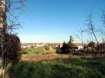 DSCN3972