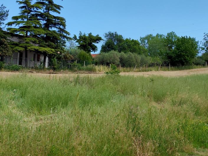 Image No.12-Property for sale