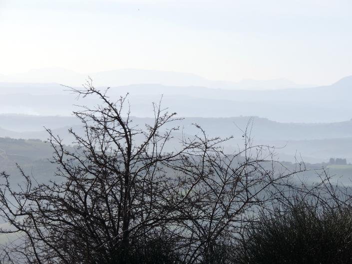 Image No.10-Propriété à vendre à Atri