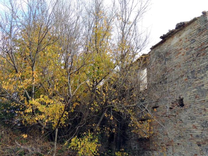 Image No.9-5 Bed House for sale