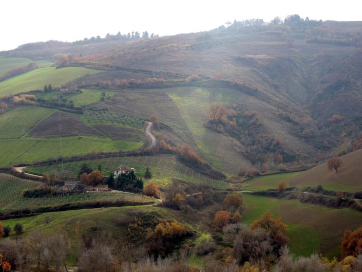 Image No.5-5 Bed House for sale