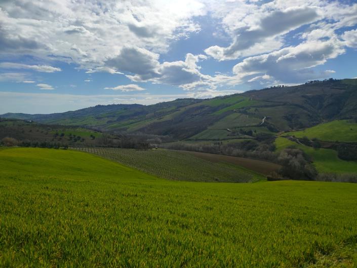 Image No.26-5 Bed House for sale