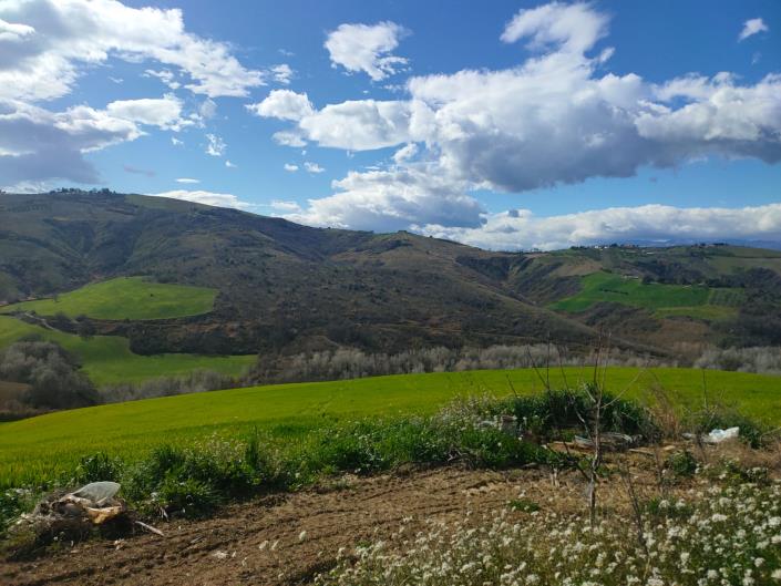 Image No.2-5 Bed House for sale