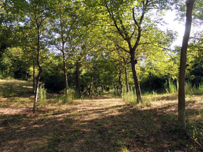 Image No.2-Land for sale